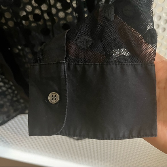 Lord & Taylor Sheer, Button-down, Collared Blouse Size XL Free with Purchase - Picture 3 of 10